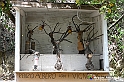 VBS_3218 - Mango (Cuneo) - Gnomovia